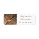 Search for red maple leaf return address labels Autumn