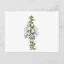 Search for foxglove flower postcards Plants