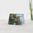 Search for apple cards Country