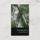 Search for bamboo forest Nature