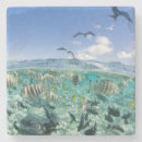 Search for trips coasters Fish