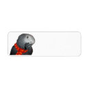 Search for african return address labels Parrots