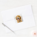 Search for golden smile stickers Yellow retriever