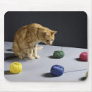 Search for ginger cat mousepads Animals