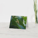 Search for praying mantis cards Garden