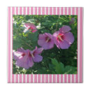 Search for gardener tiles Pink