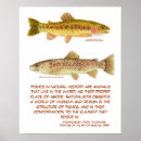 Search for trout posters Glace