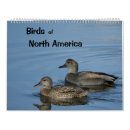 Search for bird calendars Nature photography