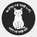 Search for unique cat stickers Design