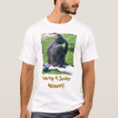 Search for chimpanzees photography Animals