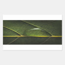 Search for water plant stickers Botanical