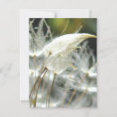 Search for embrace postcards Lovers
