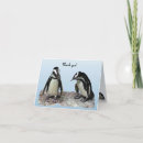 Search for avians cards Penguin