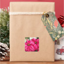 Search for pink poinsettia stickers Floral