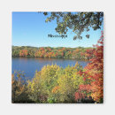 Search for colored leaf magnets Autumn