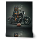 Search for cigar art Sports