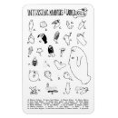 Search for manatee magnets Animals