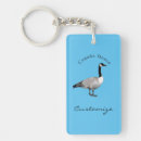 Search for migratory Bird lover