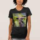 Search for swallow tshirts Birds