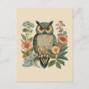 Search for unique owl postcards Vintage