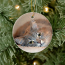 Search for long haired cat christmas tree decorations Tabby