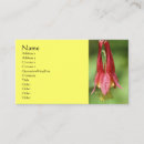 Search for columbine photography Nature