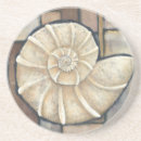 Search for abalone coasters Seashell