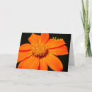 Search for photographer birthday cards Mother