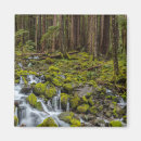 Search for state magnets Washington