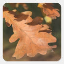 Search for crisp stickers Autumn