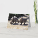 Search for rhino cards Animal