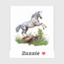 Search for appaloosa stickers Horse lover