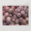 Search for beete postcards Vegetable