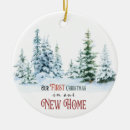 Search for new home christmas tree decorations Modern