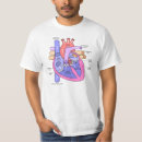 Search for aortic clothing Heart