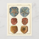 Search for dollar postcards Shell