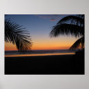 Search for beach other Paradise