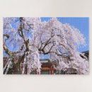 Search for cherry tree puzzles Flower