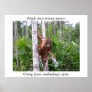 Search for wildlife conservation posters Environment