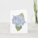Search for hydrangea note cards Blank