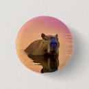 Search for de janeiro badges South america