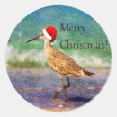 Search for birds with hats stickers Blue