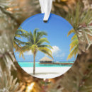 Search for maldives christmas tree decorations Indian ocean