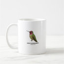 Search for annas mugs Calypte anna