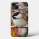 Search for cap cases Winter