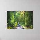 Search for fantasy photography Hiking