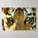 Search for wild one birthday posters Jungle