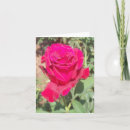 Search for landscapes note cards Red