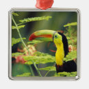 Search for toucan christmas tree decorations Animal