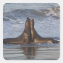 Search for affectionate stickers Outdoors